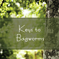 Keys to Bagworms